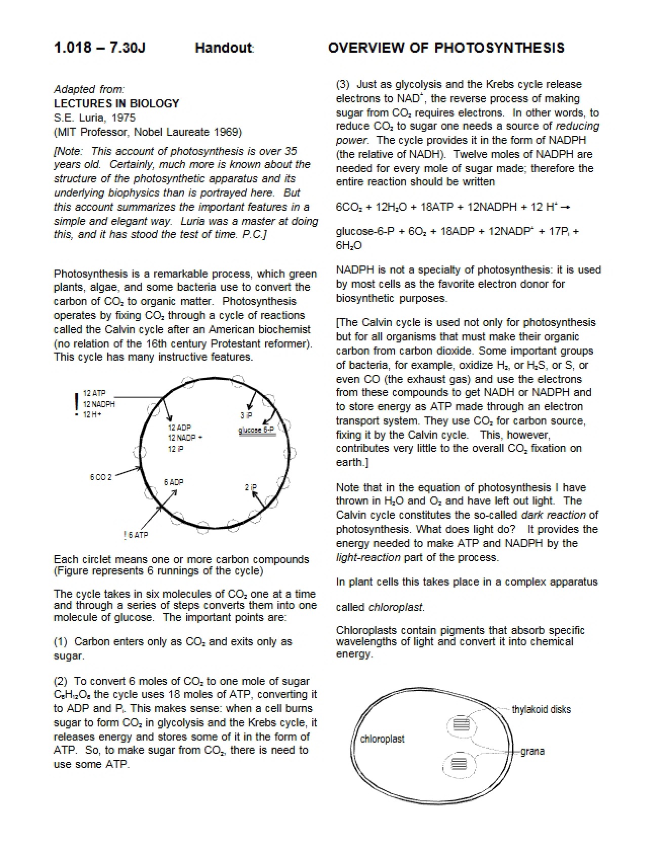 Photosynthesis Summary