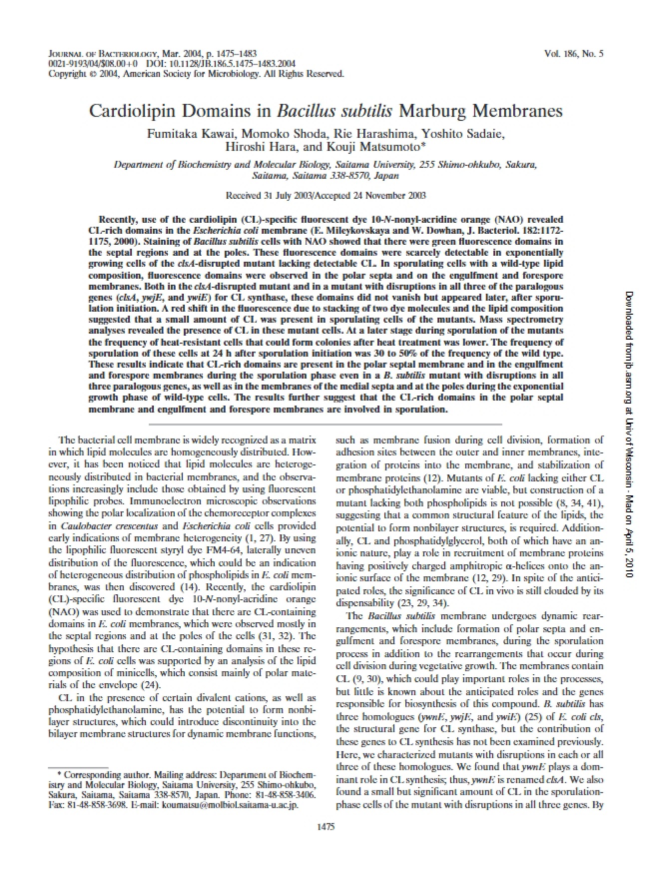 Bacillus Subtilis Marburg Membranes and Cardiolipin Domains