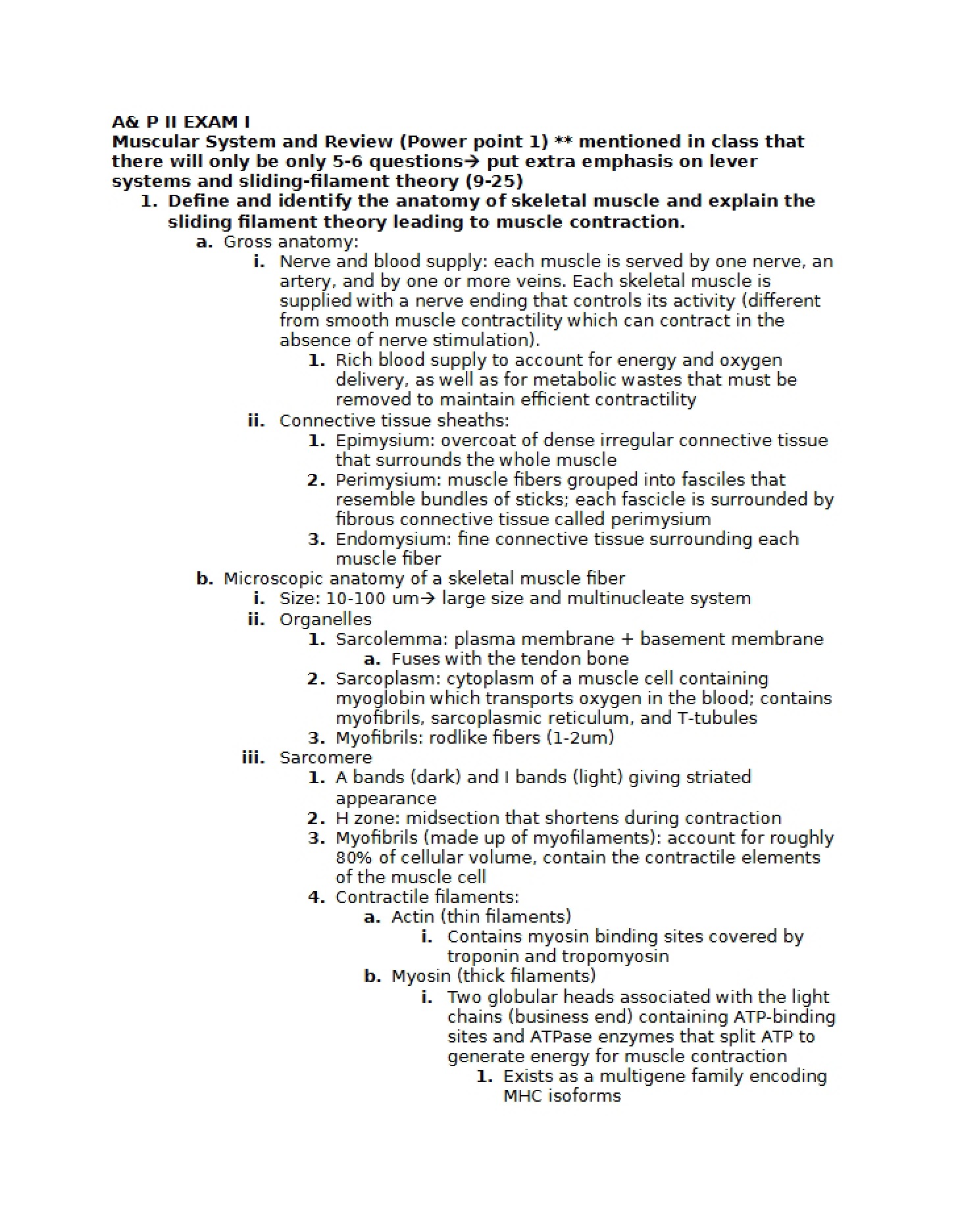 Muscular System - Functional Anatomy and Physiology II (4)