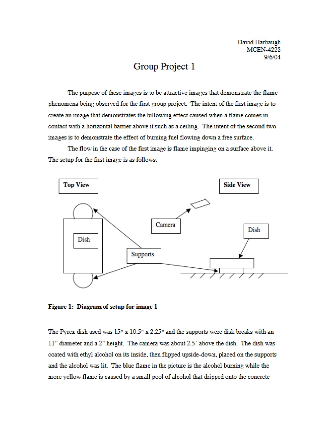 Group Project One (Third Instance)