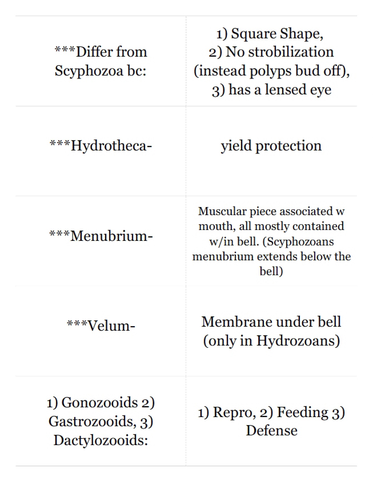 Invertebrate Zoology Phylum Cnidaria (Part One)