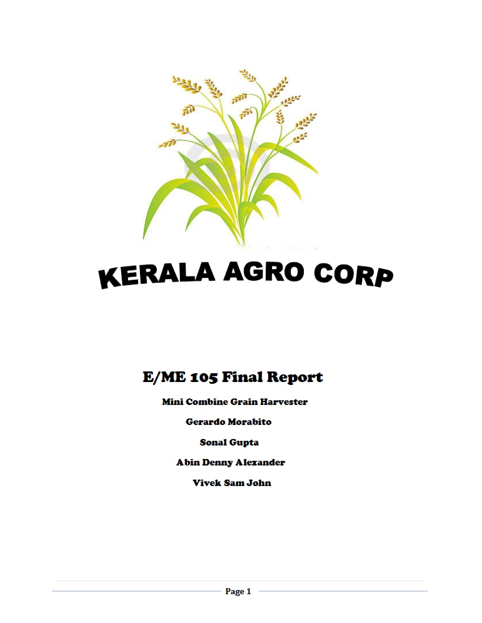 Report on Final Project