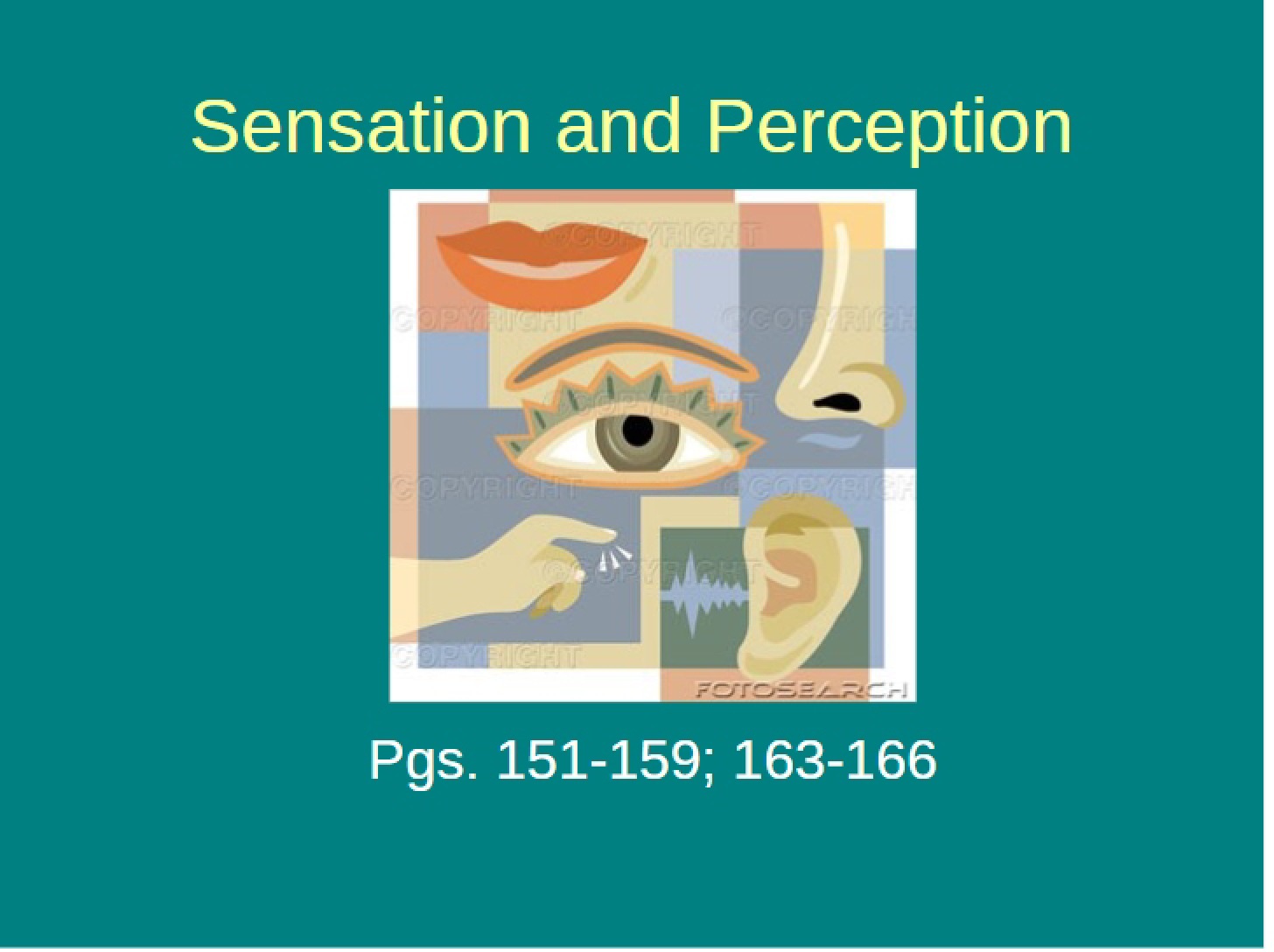 Perception vs. Sensation