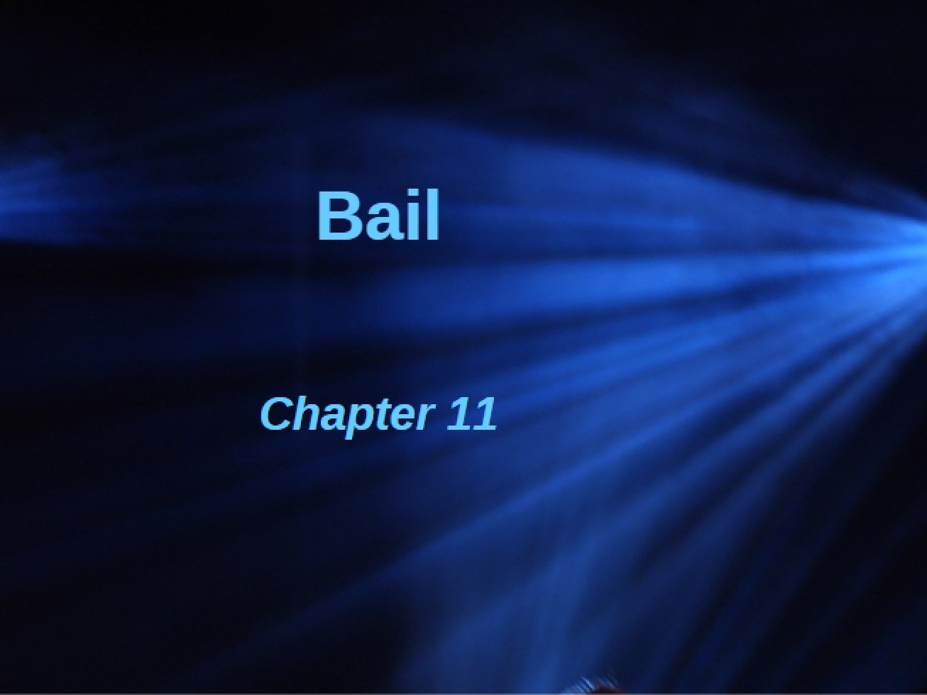 Bail (Chapter 11 LS)