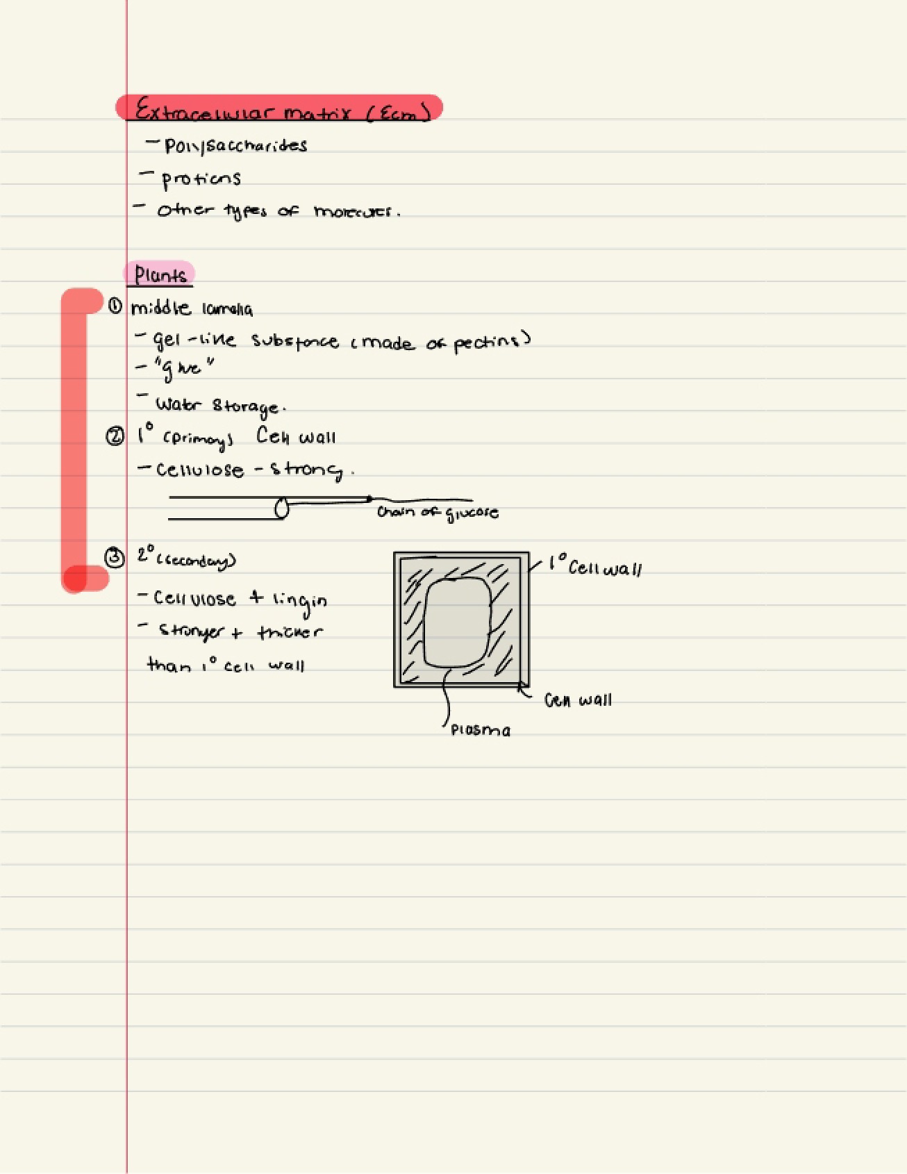 Class Notes - 11 Pages