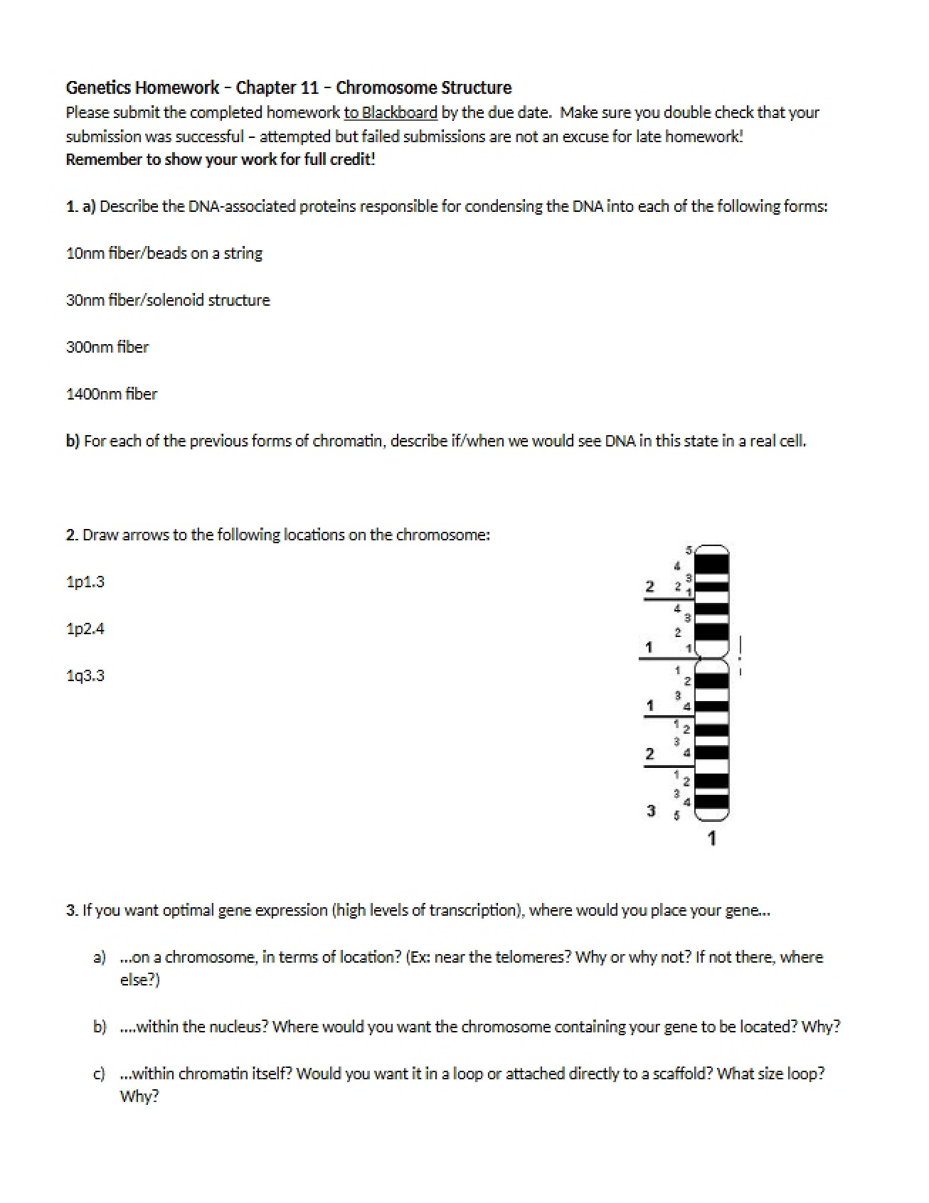 Chromosome Structure Homework (Chapter 11)