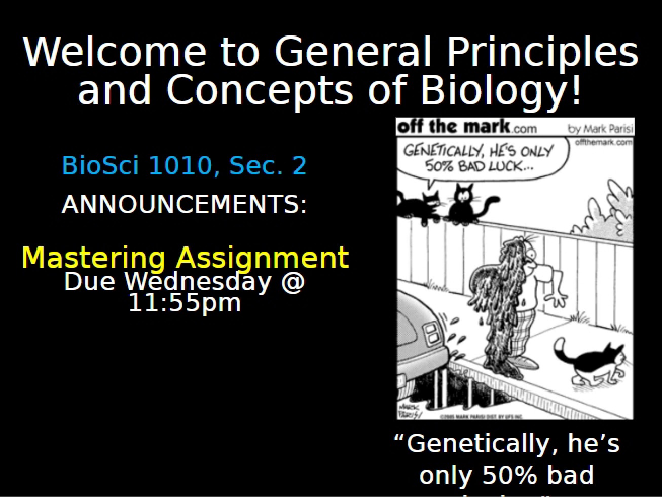 Mutations BIO1010 Lecture 12