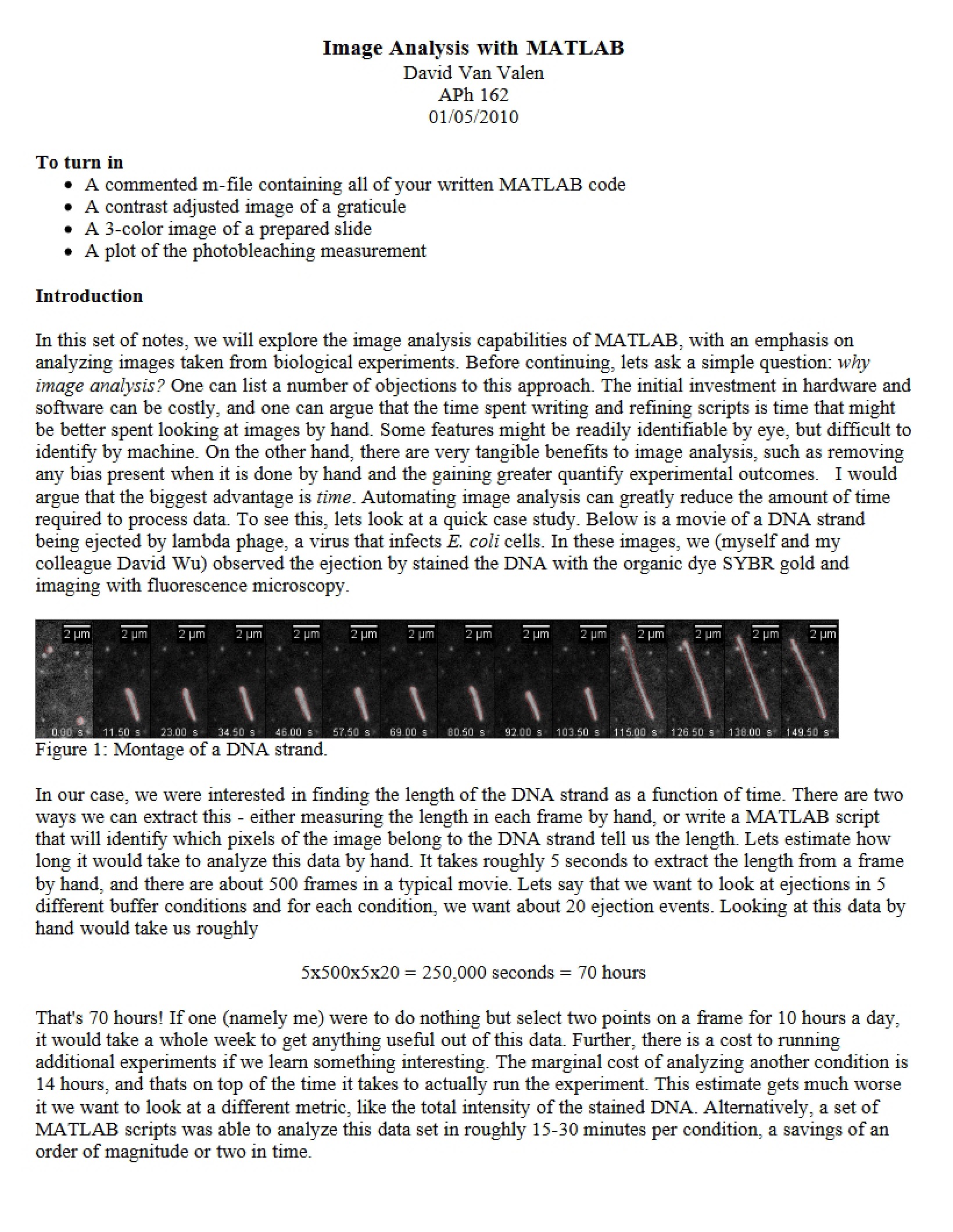 MATLAB Image Analysis
