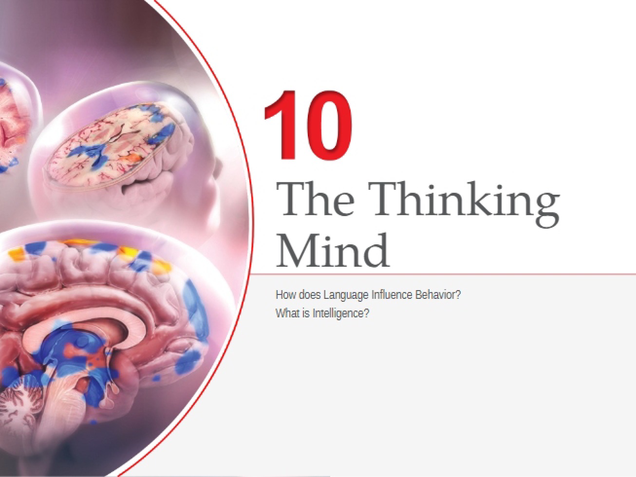 Intelligence and Language Chapter 10