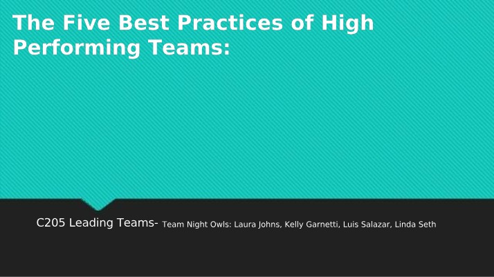 Team Leadership Presentation for C205