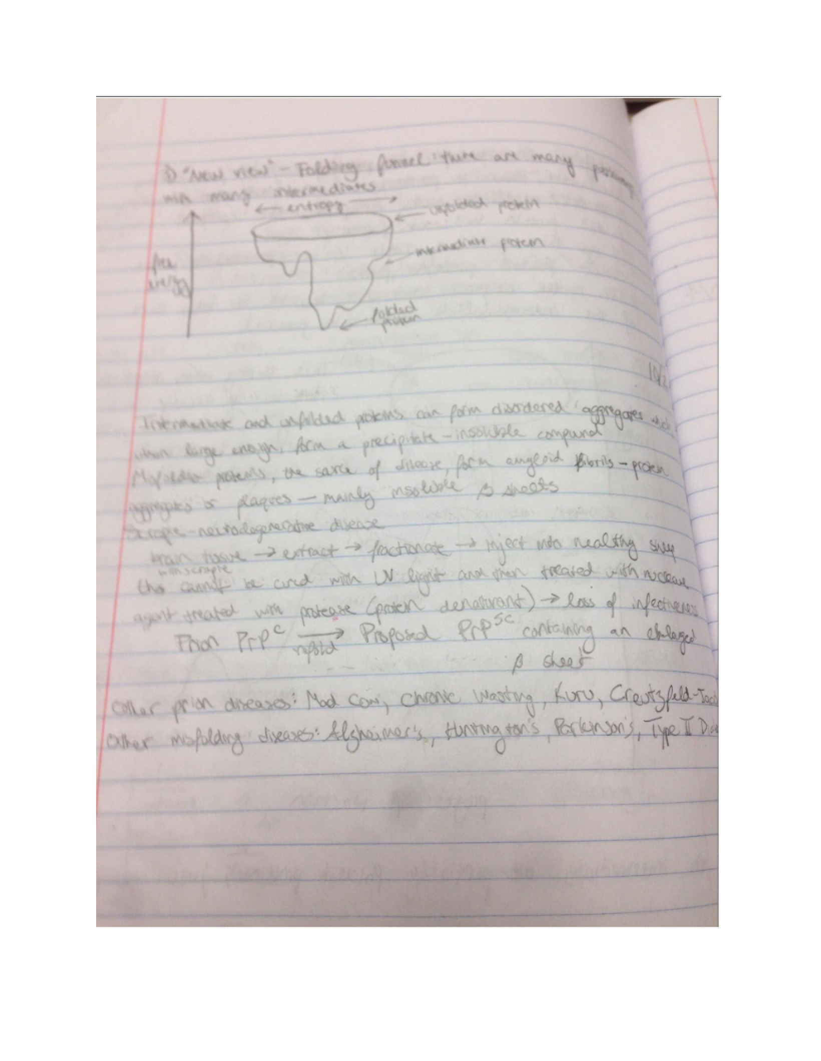 Notes from Lecture - 16 Pages