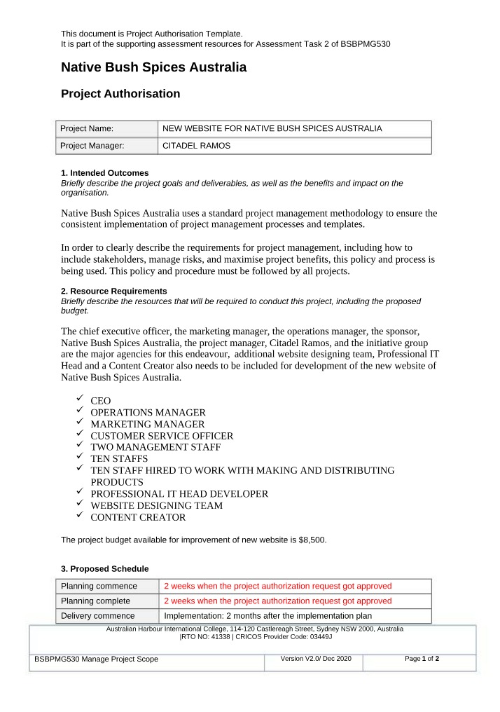 Template for Project Authorisation