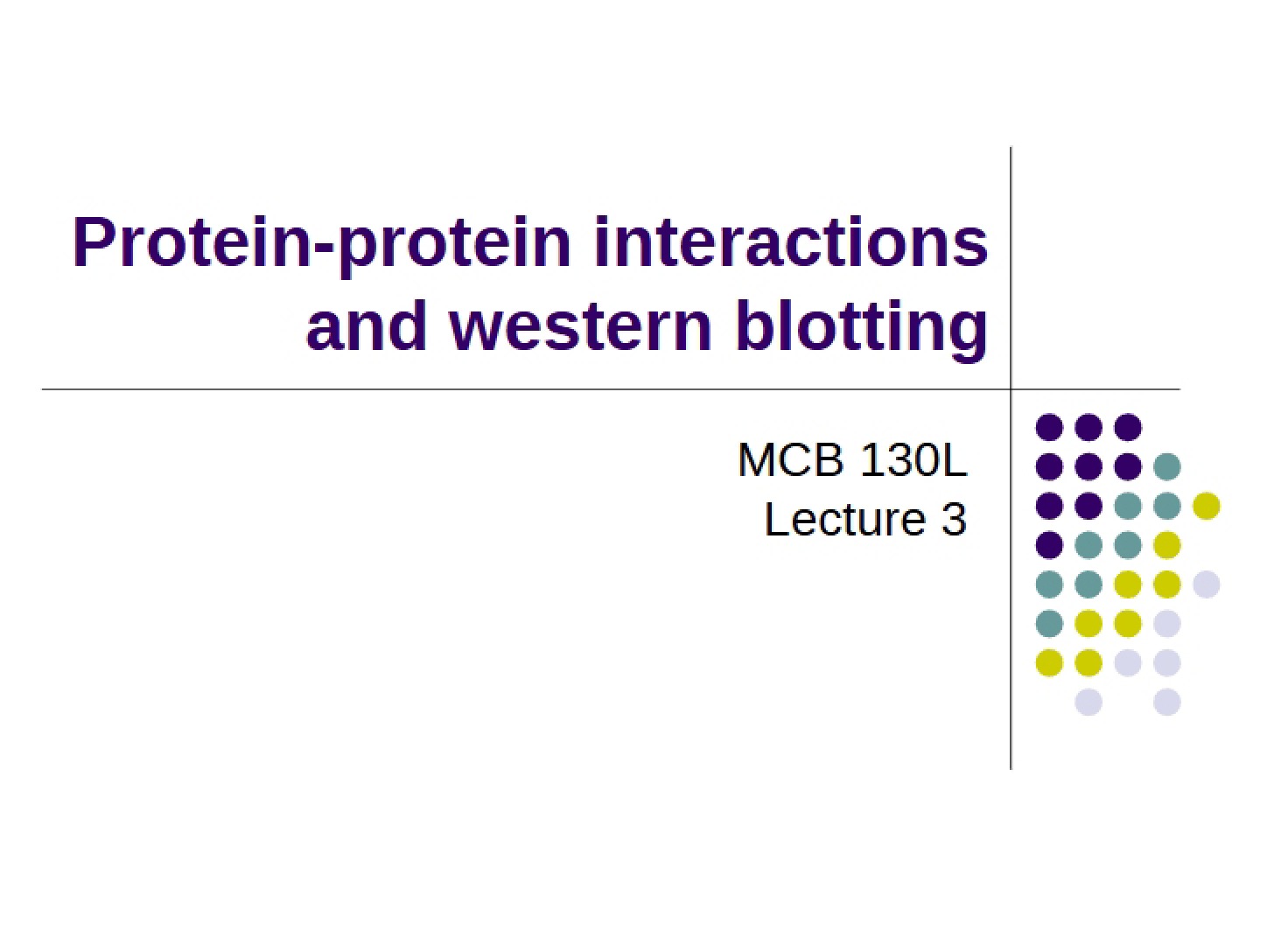 Western Blotting and Protein-Protein Interactions