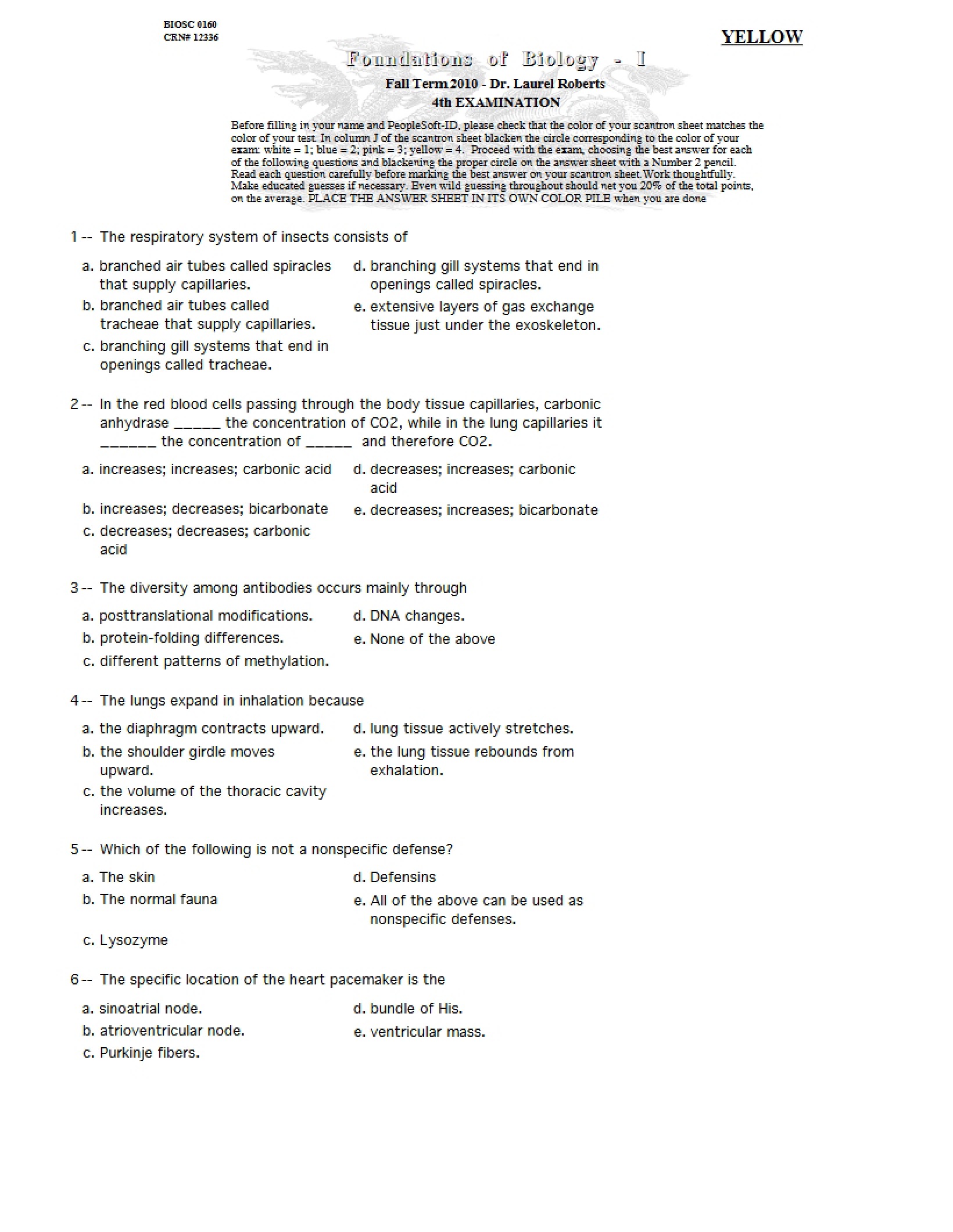 Examination 4