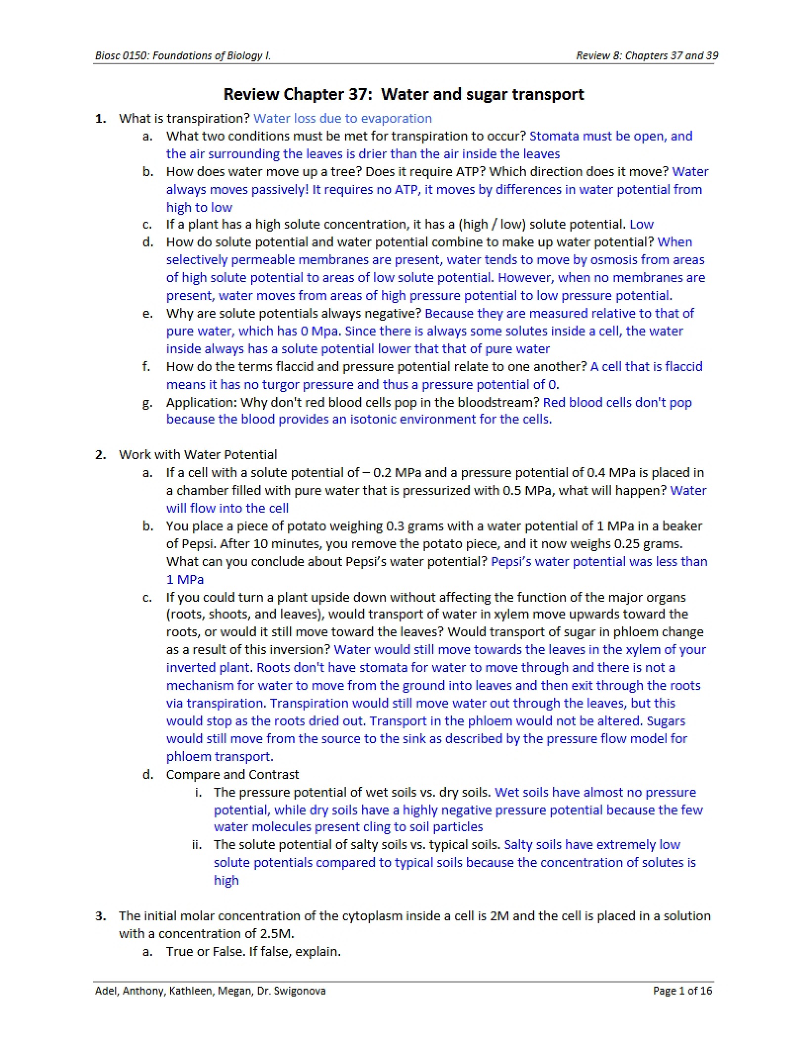 Water and Sugar Transport (Chapter 37 Review)