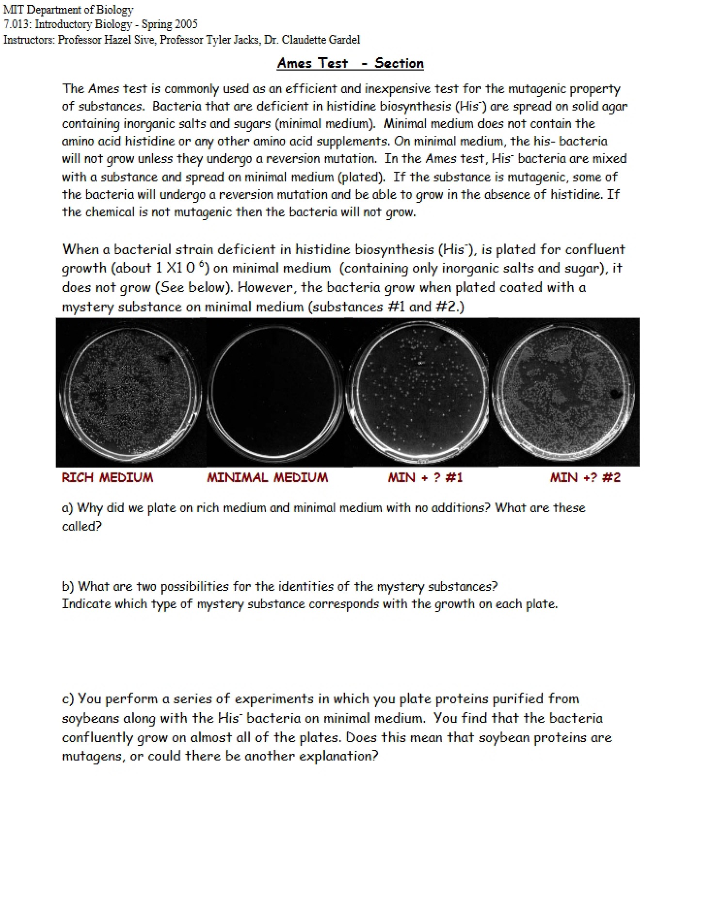 Section on Ames Test