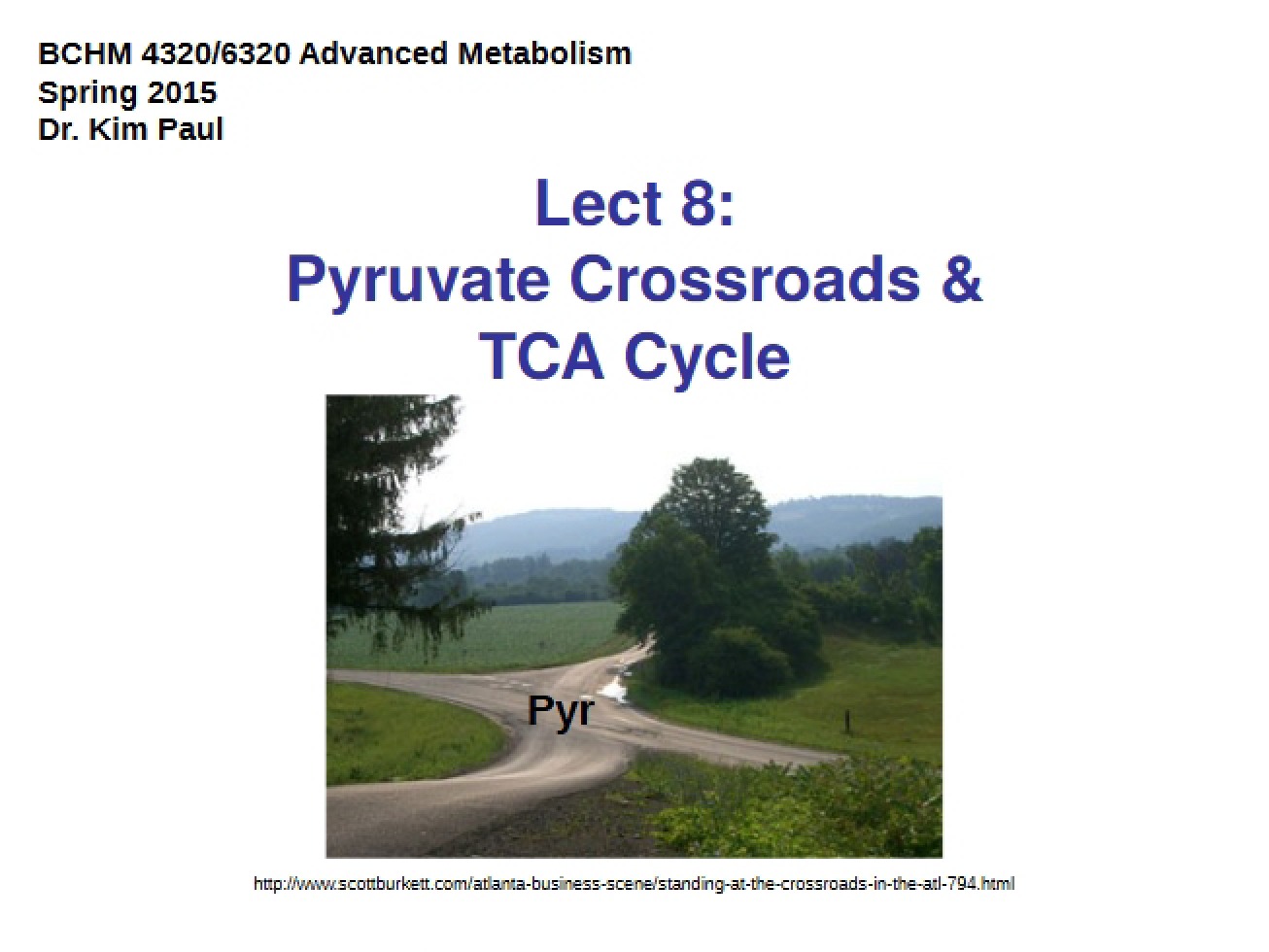 PDH and TCA Cycle Part 1 (8)