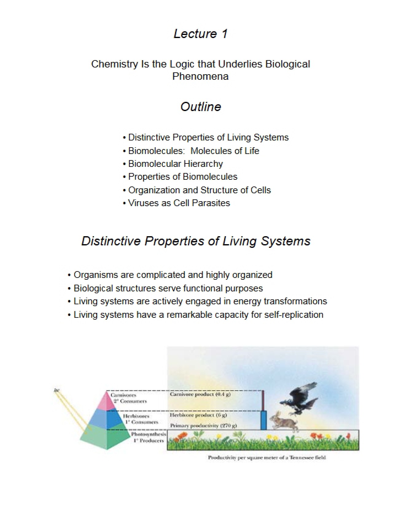 Biochemistry I Lecture Notes