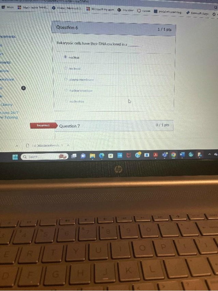 DNA Enclosure Quiz for Eukaryotic Cells