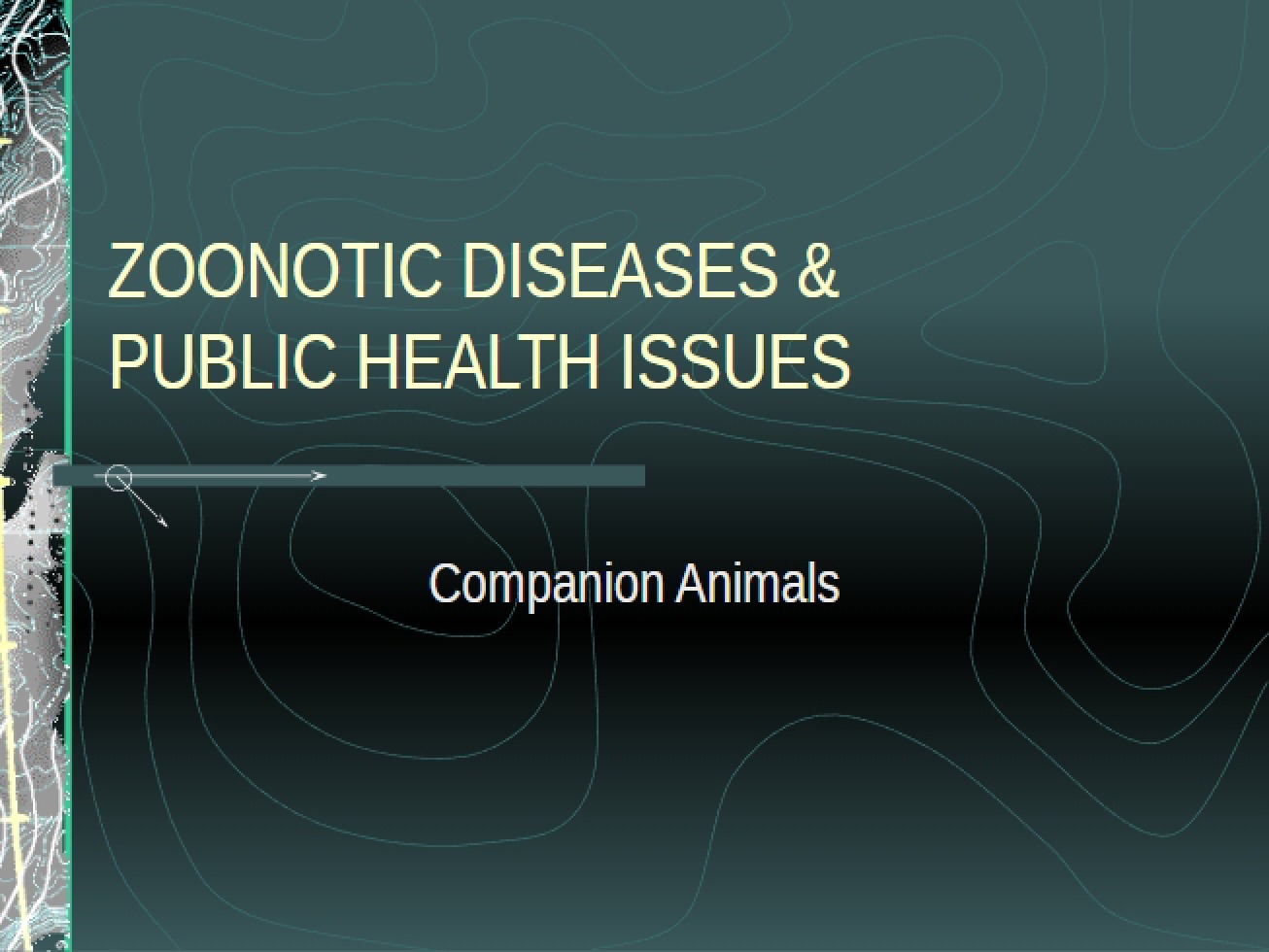 Public Health Concerns and Zoonotic Diseases