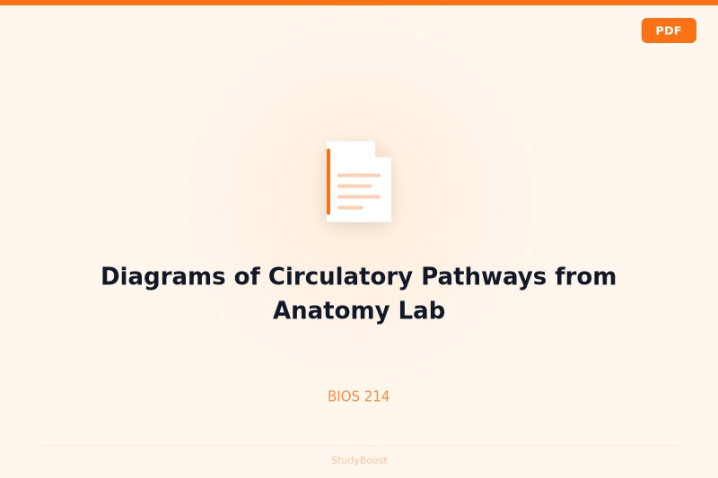 Diagrams of Circulatory Pathways from Anatomy Lab
