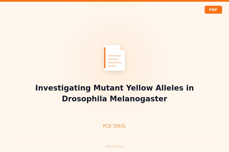 Investigating Mutant Yellow Alleles in Drosophila Melanogaster