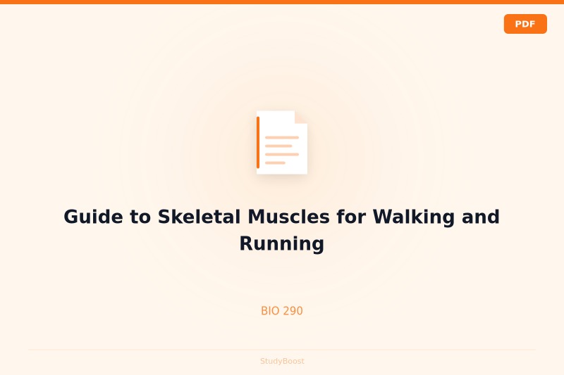 Guide to Skeletal Muscles for Walking and Running