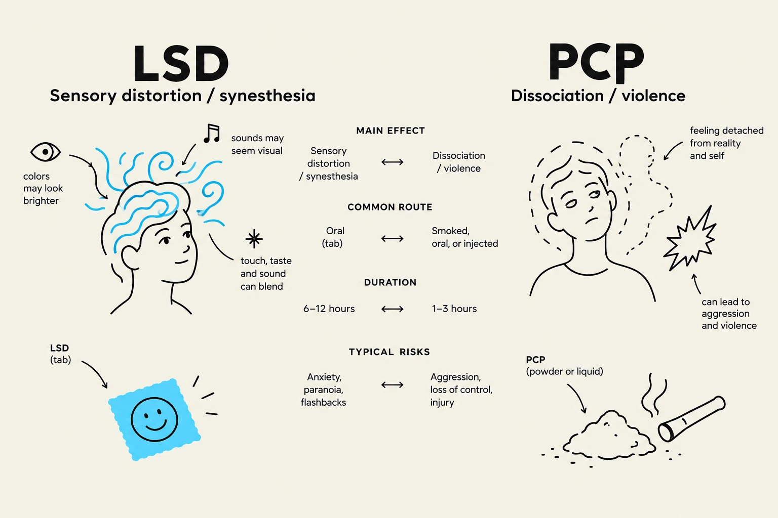 This illustration compares the effects, common routes of administration, duration, and typical risks associated with LSD and PCP.
