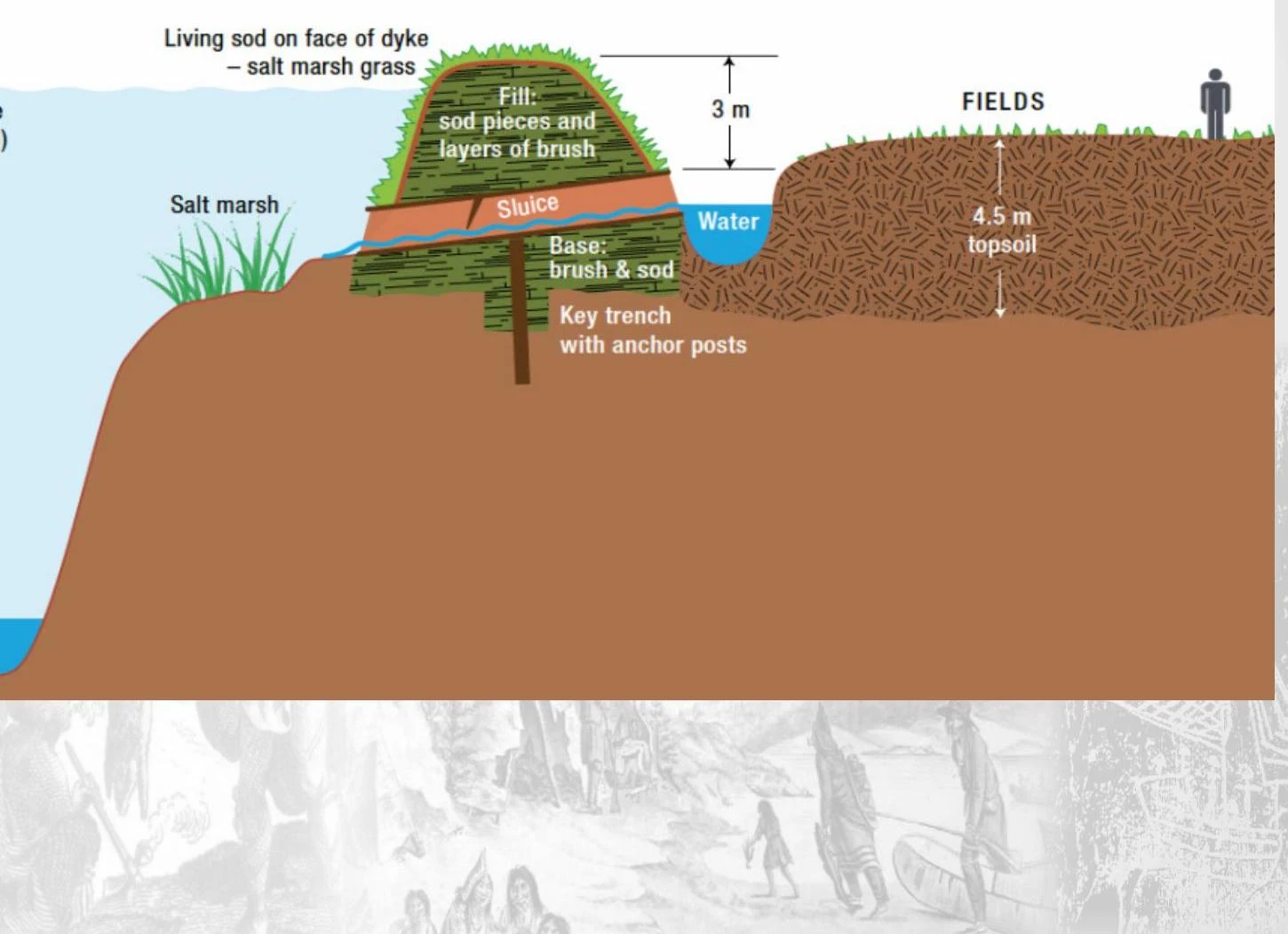 Diagram illustrating the construction of a dyke with a sluice, showing layers of sod, brush, and topsoil, and its relation to salt marsh and fields.