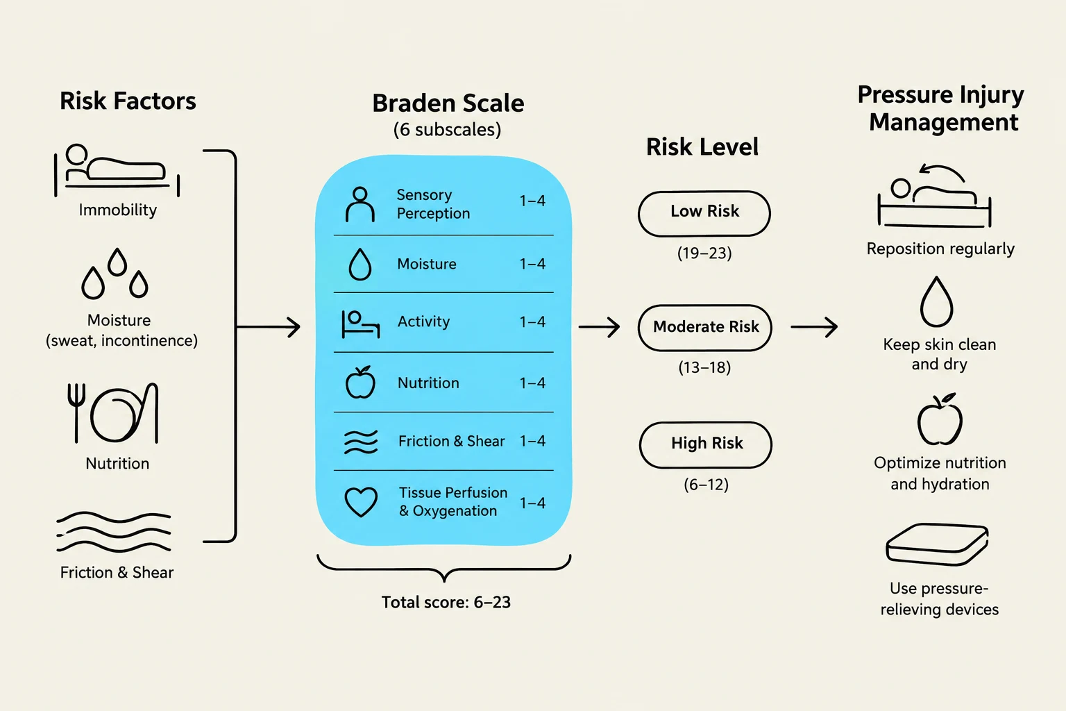 The Braden Scale assesses risk factors for pressure injuries, categorizing individuals into low, moderate, or high risk levels based on subscale scores. Management strategies include repositioning, maintaining skin hygiene, optimizing nutrition, and using pressure-relieving devices.