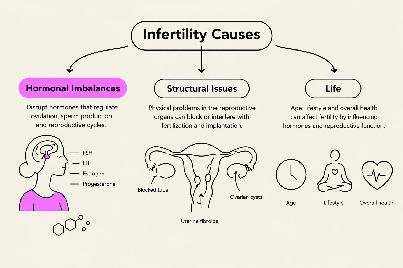 This diagram illustrates the various causes of infertility, categorized into hormonal imbalances, structural issues, and lifestyle factors.
