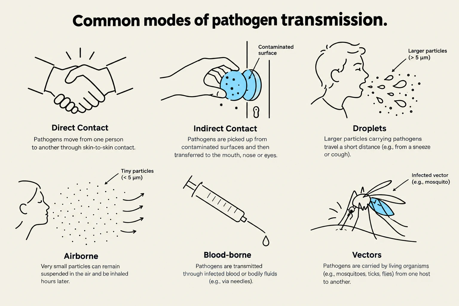 This illustration depicts six common modes of pathogen transmission: direct contact, indirect contact, droplets, airborne, blood-borne, and vectors.