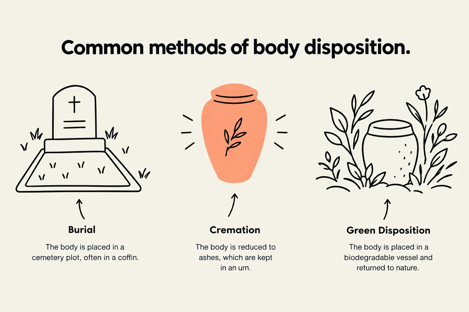 Common methods of body disposition include burial, cremation, and green disposition.