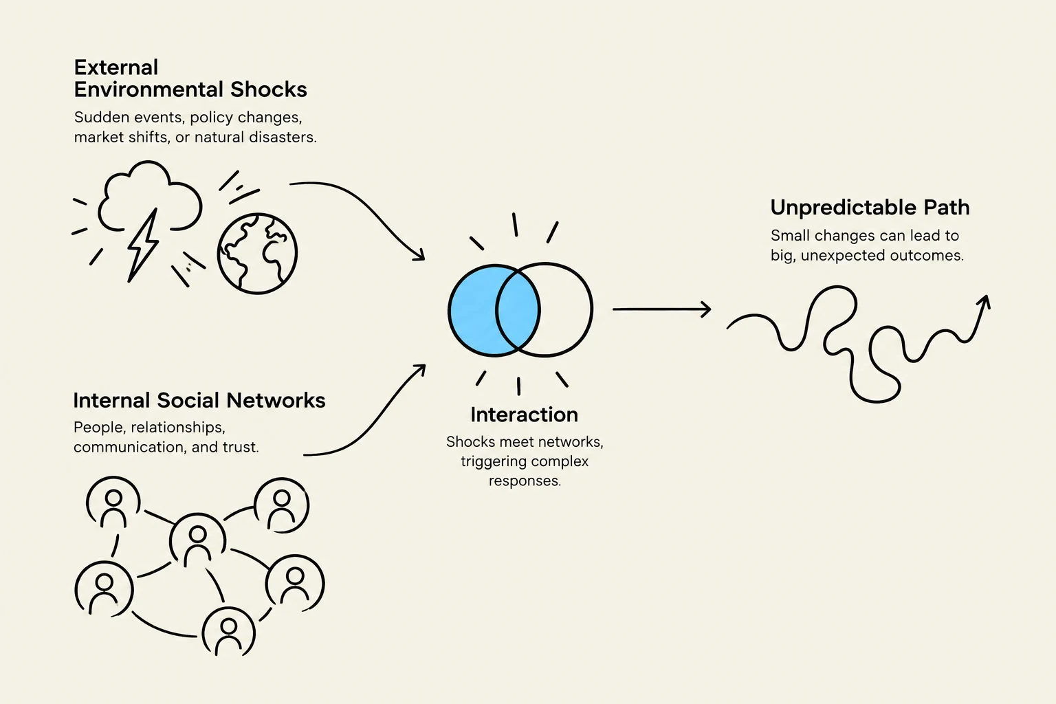 This diagram illustrates how external environmental shocks and internal social networks interact, leading to unpredictable outcomes.