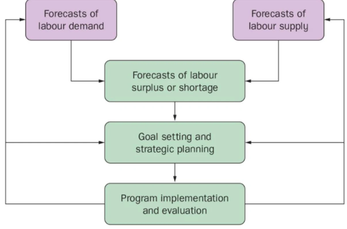 This flowchart illustrates the process of forecasting labor demand and supply, assessing potential surpluses or shortages, setting goals, strategic planning, and implementing and evaluating programs.