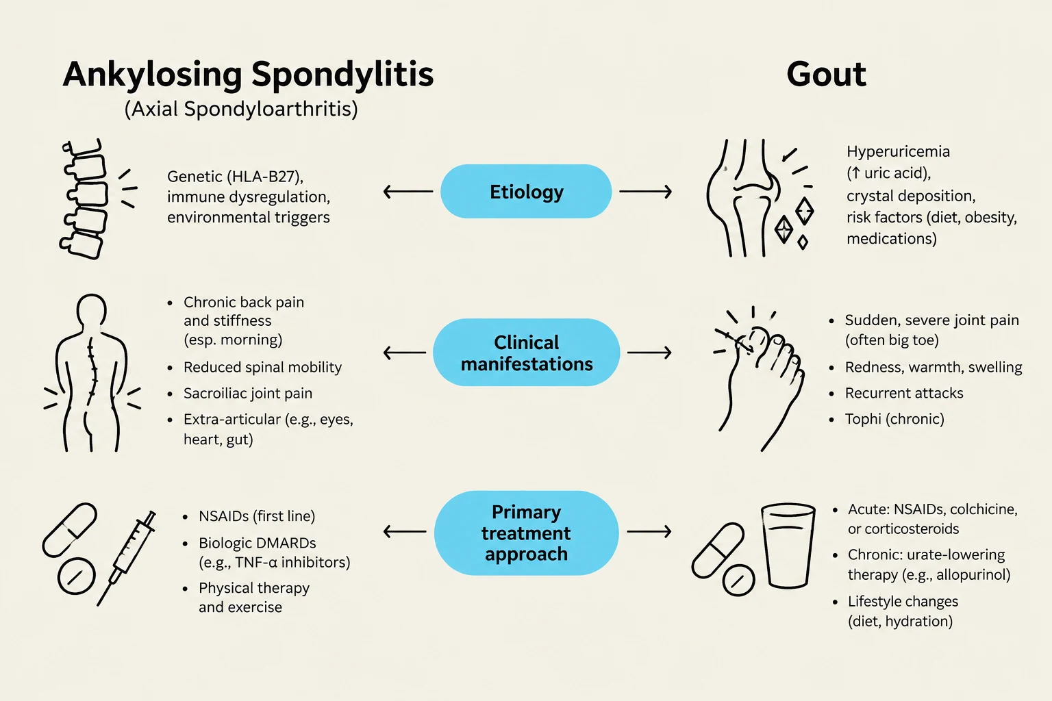 This diagram compares Ankylosing Spondylitis and Gout, detailing their etiologies, clinical manifestations, and primary treatment approaches.