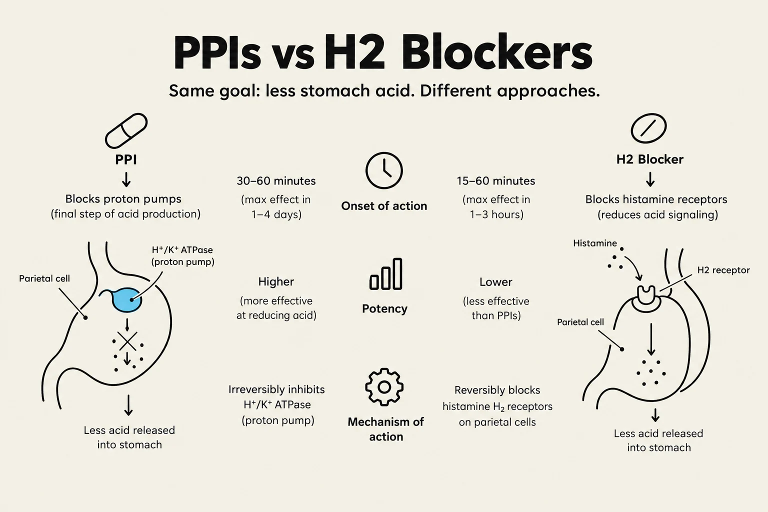 Comparison of PPIs and H2 Blockers for reducing stomach acid, illustrating their mechanisms of action, onset of action, and potency.