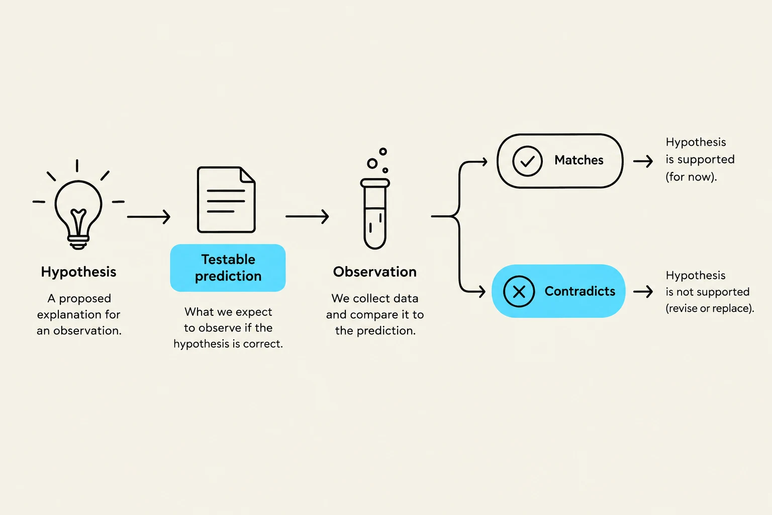 This diagram illustrates the scientific method, starting with a hypothesis, followed by a testable prediction, observation, and then determining if the observation matches or contradicts the prediction, leading to support or revision of the hypothesis.