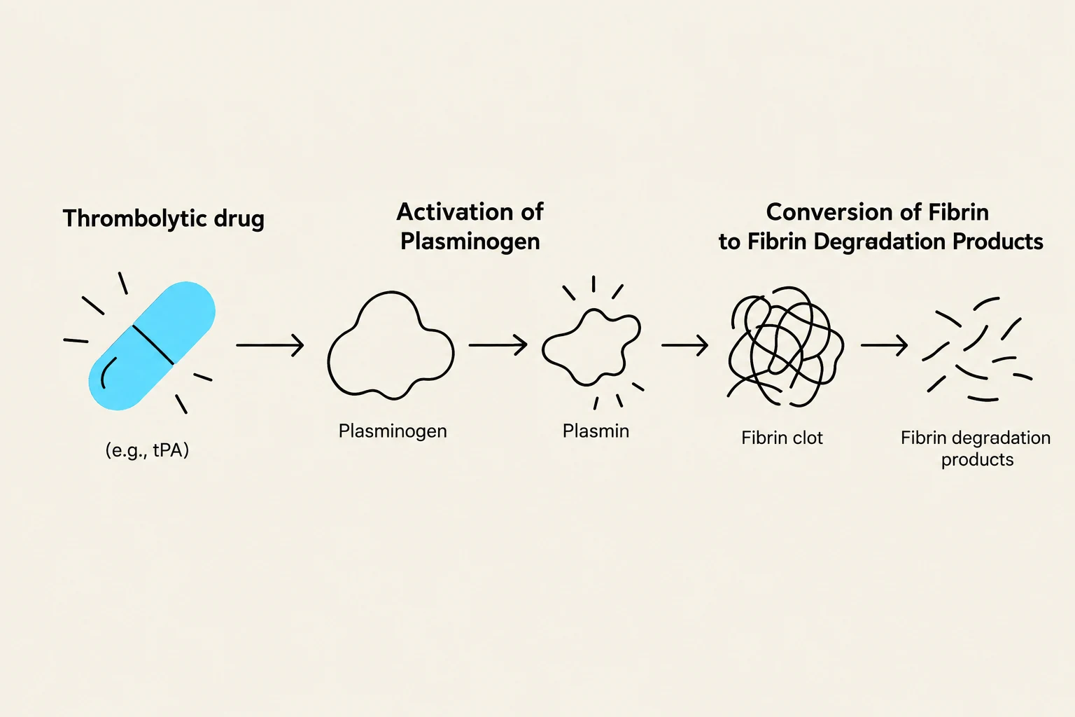 This diagram illustrates the process by which a thrombolytic drug, such as tPA, activates plasminogen into plasmin. Plasmin then breaks down a fibrin clot into fibrin degradation products.