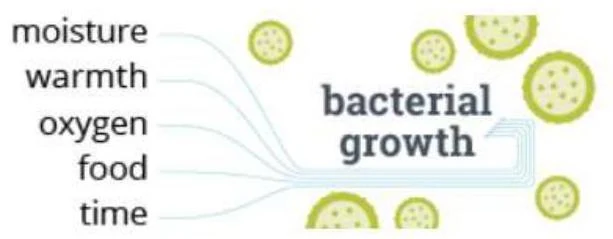 Diagram illustrating factors influencing bacterial growth: moisture, warmth, oxygen, food, and time.
