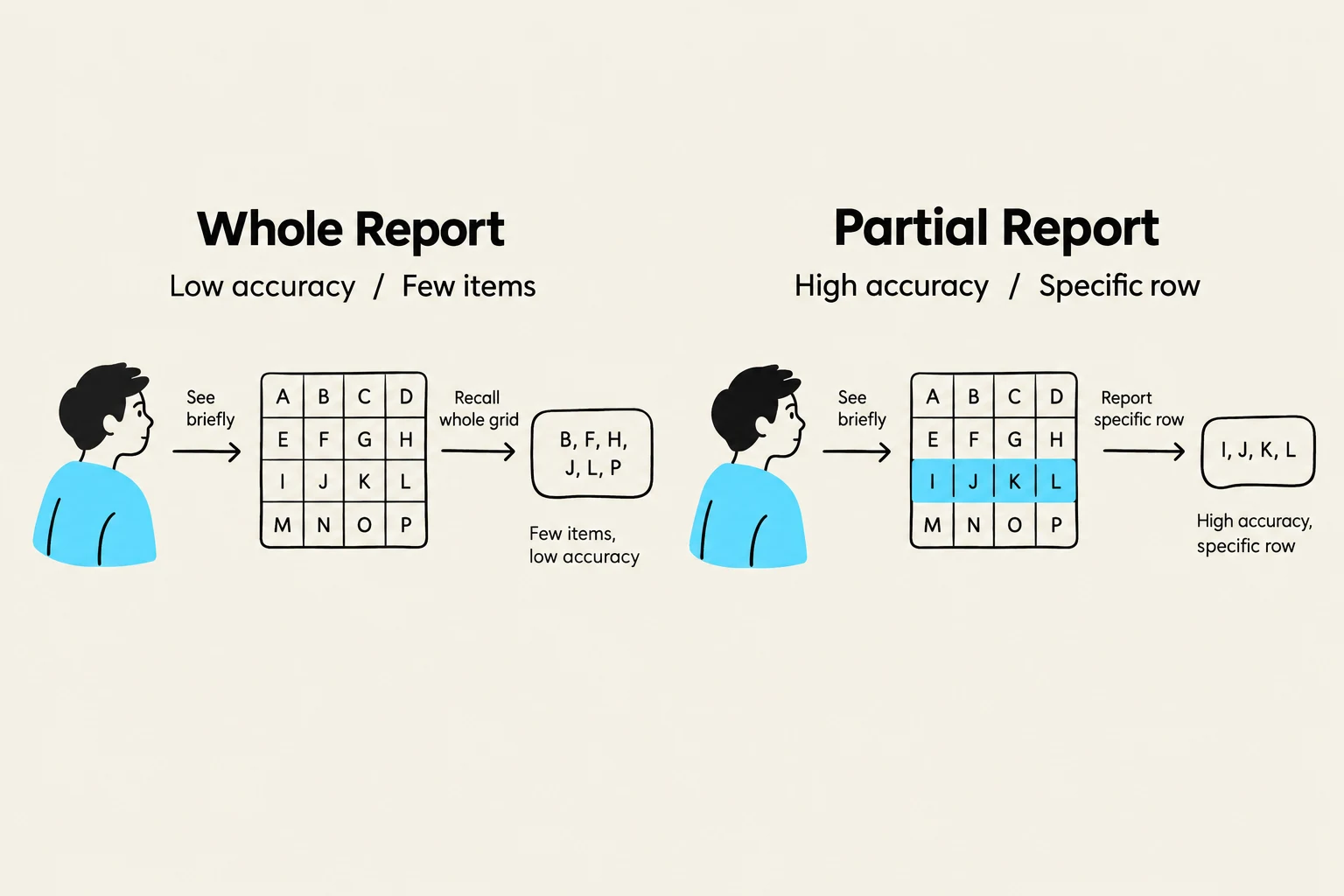 This diagram illustrates the difference between a whole report and a partial report in memory recall experiments. In a whole report, participants attempt to recall all presented items, often resulting in lower accuracy and fewer items recalled. In a partial report, participants recall only a specific portion (e.g., a row) of the presented items, which typically leads to higher accuracy for that specific portion.
