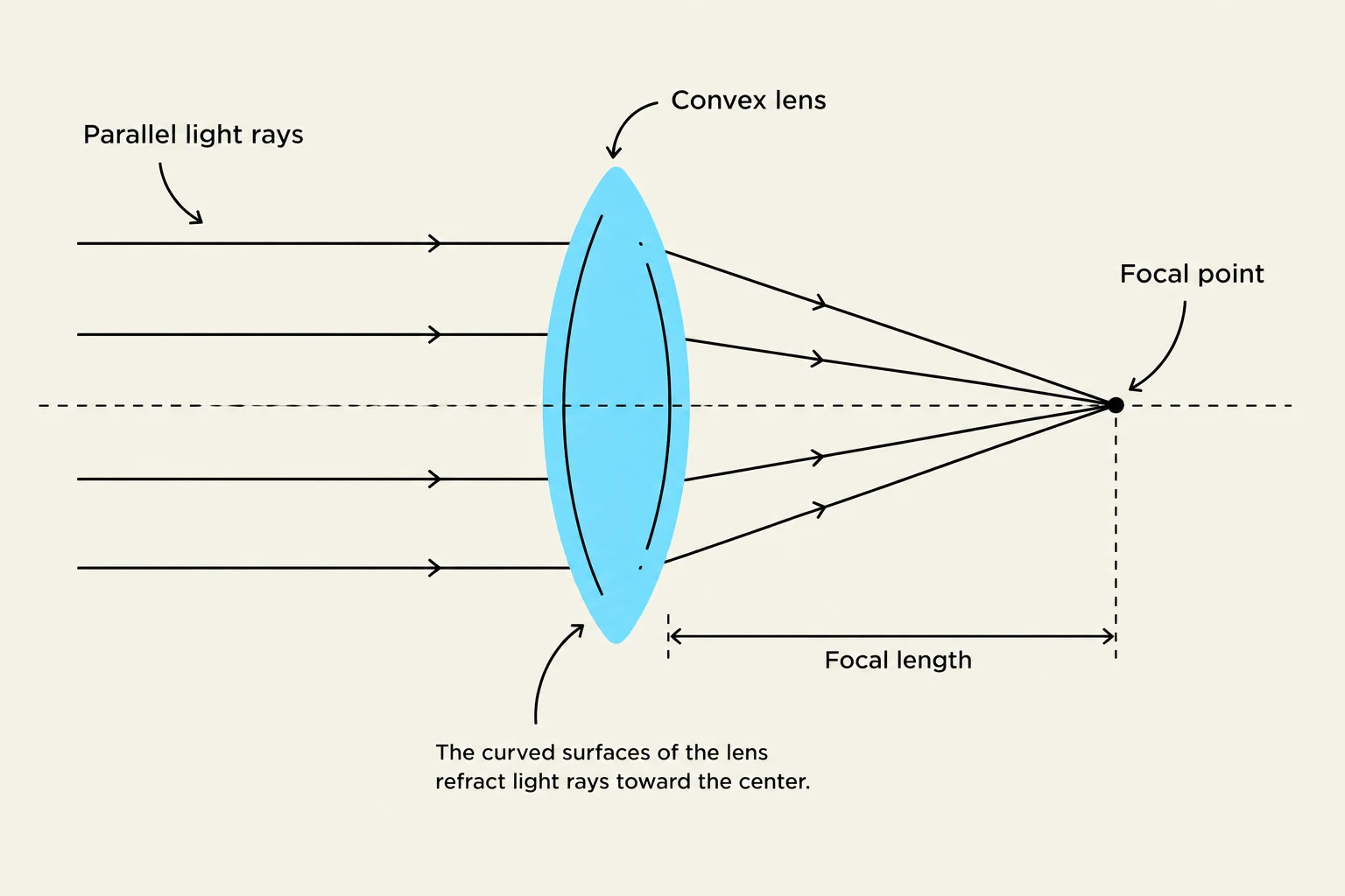 Diagram illustrating how parallel light rays are refracted by a convex lens to converge at the focal point, demonstrating the concept of focal length.