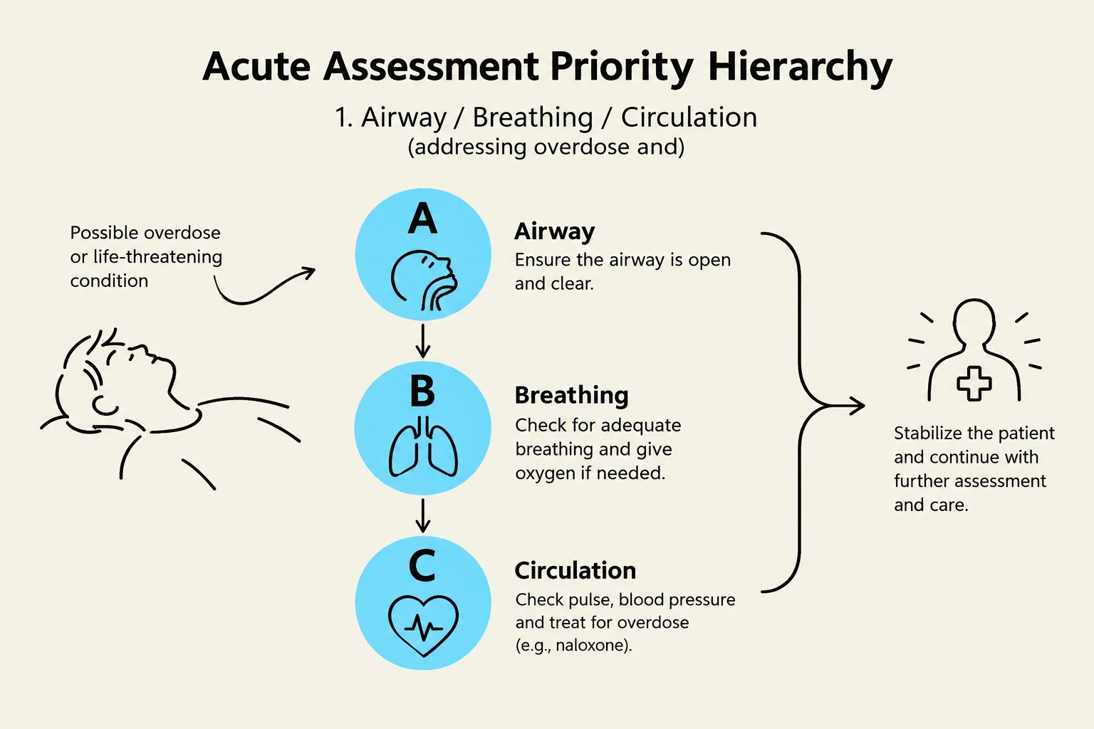 The Acute Assessment Priority Hierarchy outlines the initial steps in managing a patient with a possible overdose or life-threatening condition, focusing on Airway, Breathing, and Circulation (ABC) before further assessment and care.