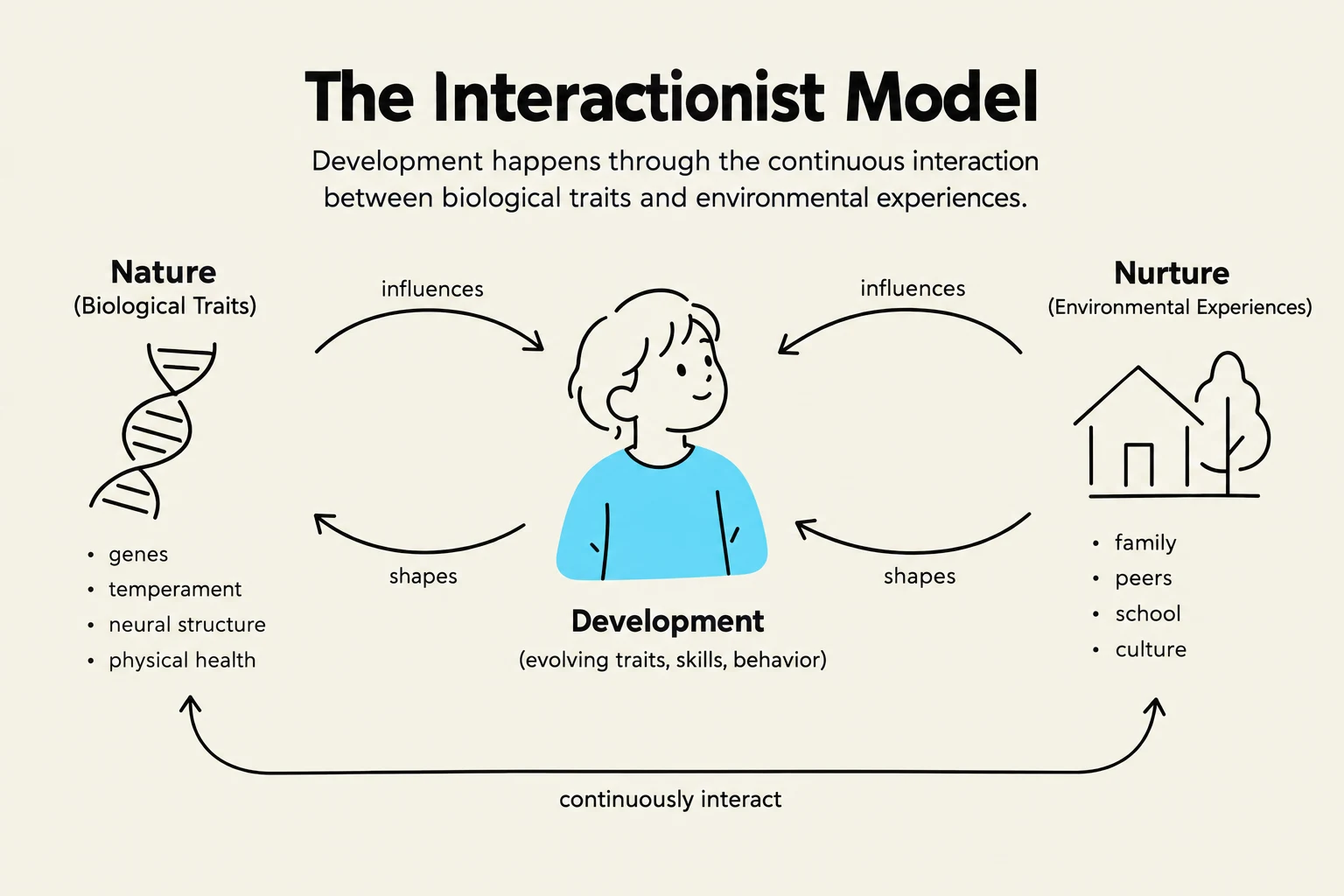 The Interactionist Model illustrates how development is a continuous interaction between biological traits (nature) and environmental experiences (nurture).