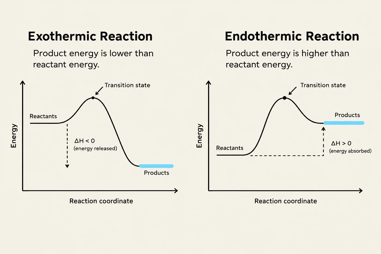 This image illustrates the energy profiles of exothermic and endothermic reactions, showing how the energy of products relates to the energy of reactants and the enthalpy change (ΔH).