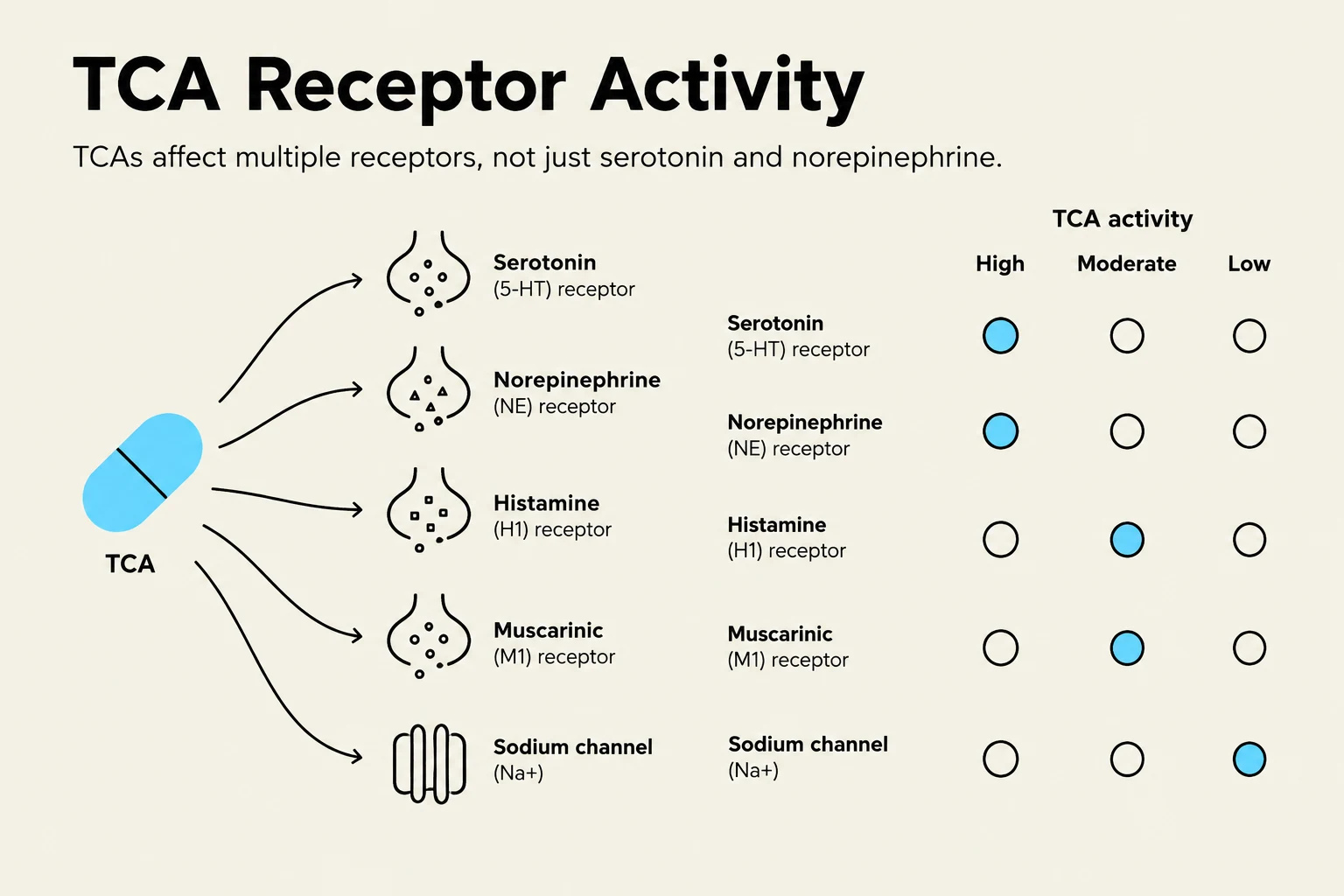 This diagram illustrates the activity of Tricyclic Antidepressants (TCAs) on various receptors, including serotonin, norepinephrine, histamine, muscarinic receptors, and sodium channels, indicating their effects as high, moderate, or low.