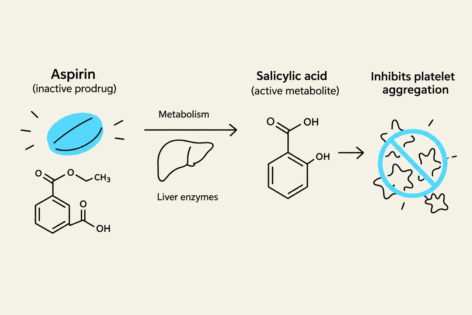 Diagram showing the metabolism of Aspirin into Salicylic acid, which inhibits platelet aggregation.