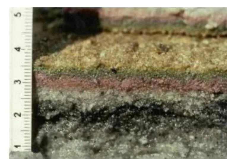 A cross-section of layered soil with a ruler indicating measurements in inches.