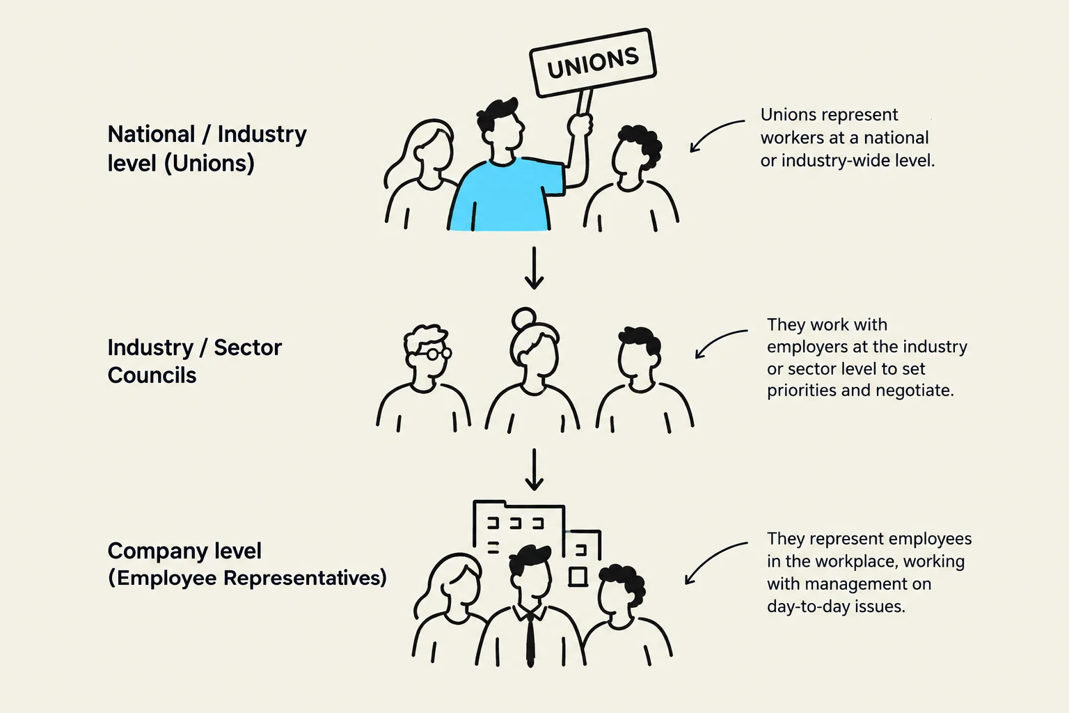 This diagram illustrates the hierarchical structure of unions and employee representation, from national/industry levels down to company-level representatives.