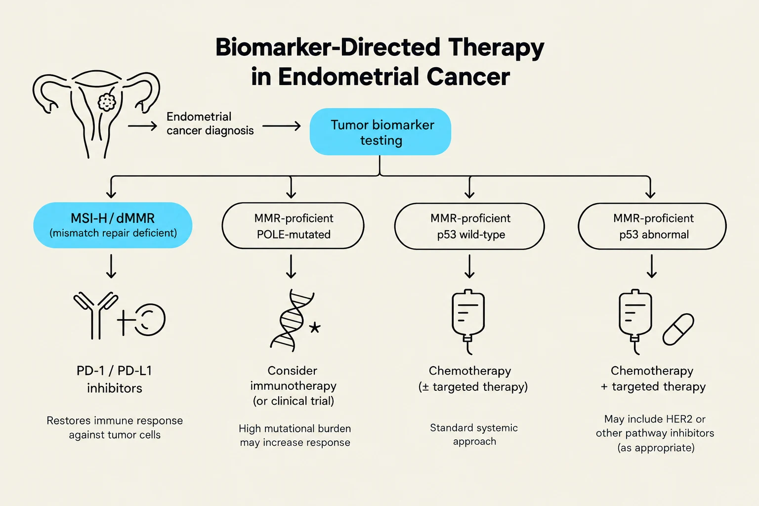 This diagram illustrates biomarker-directed therapy for endometrial cancer, outlining different treatment approaches based on tumor biomarker testing results such as MSI-H/dMMR, POLE mutation status, and p53 wild-type or abnormal status.